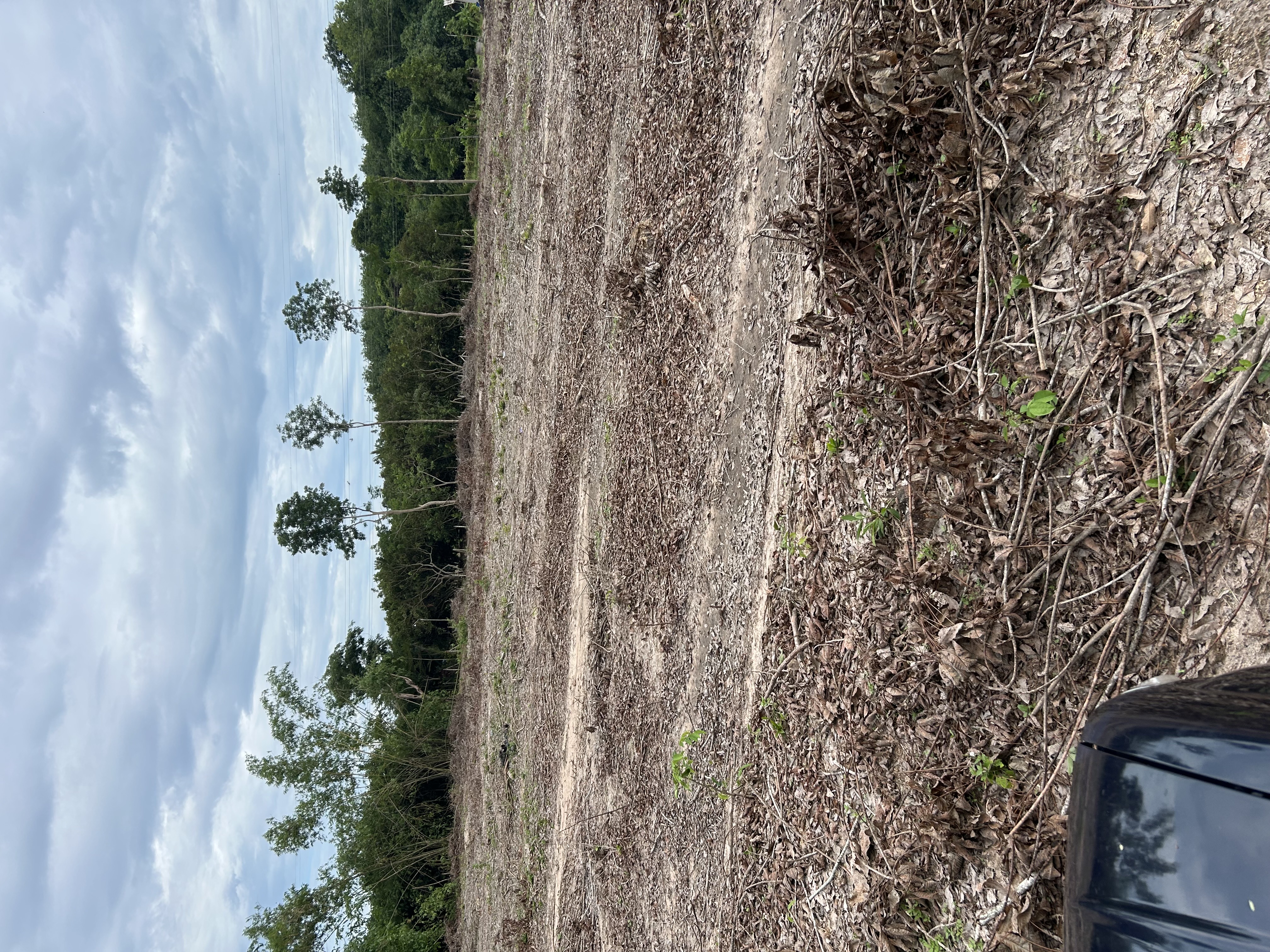 ขายที่ดินทำเลทอง ต.ตาขัน อ.บ้านค่าย จ.ระยอง 