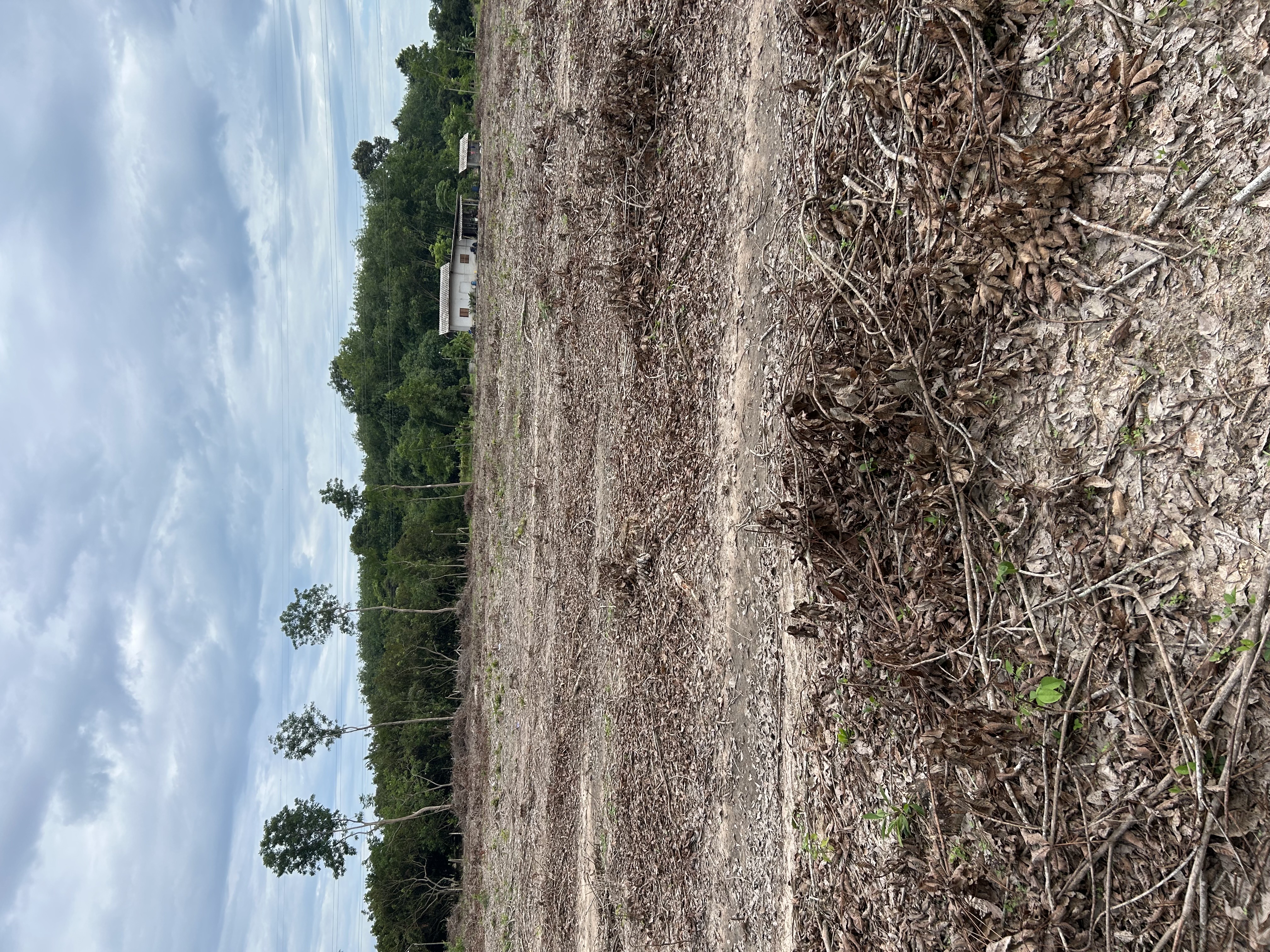 ขายที่ดินทำเลทอง ต.ตาขัน อ.บ้านค่าย จ.ระยอง 