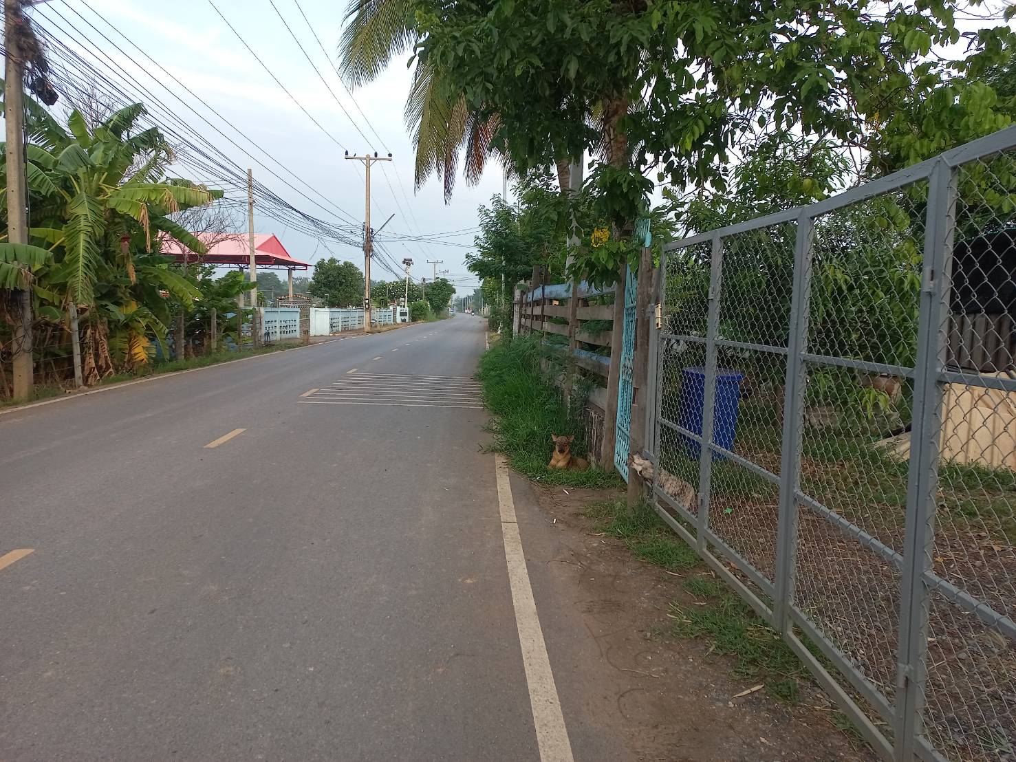 ขายบ้านเดี่ยว2ชั้น ทำเลดี อำเภอหนองแค จังหวัดสระบุรี