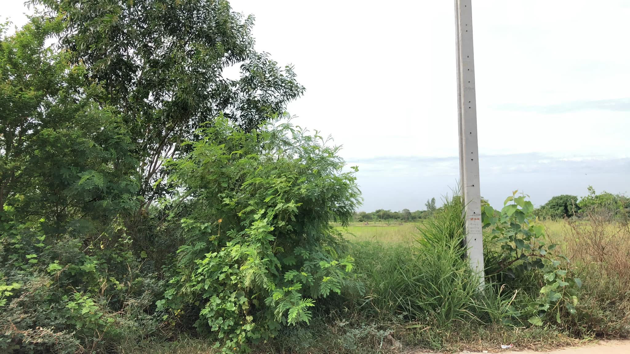 ขายที่ดินเปล่าถมแล้ว  ต.ราษฎร์นิยม อ.ไทรน้อย จ.นนทบุรี