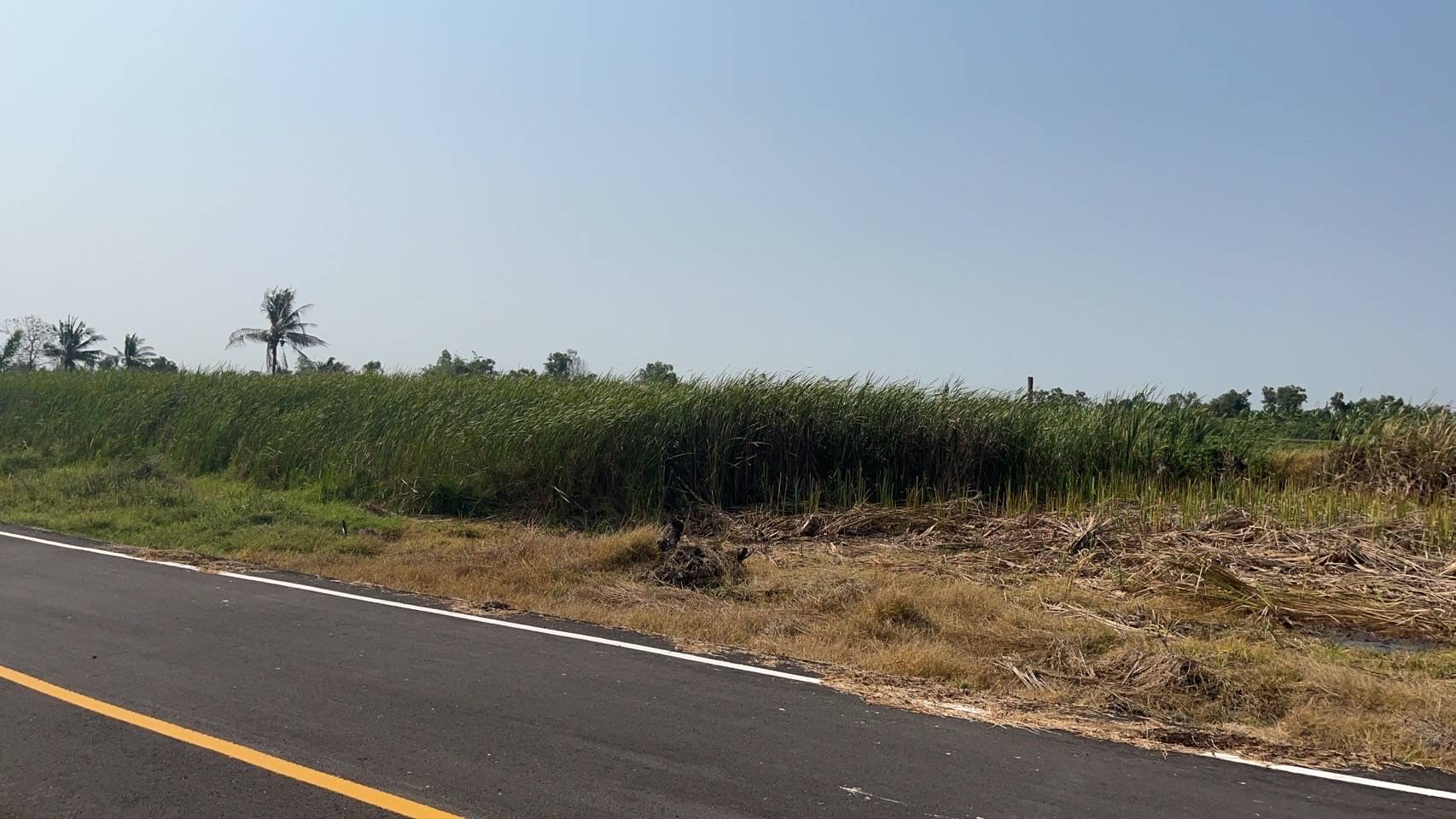 ขายที่ดินเปล่า ทำเลทอง อำเภอองครักษ์ จังหวัดนครนายก