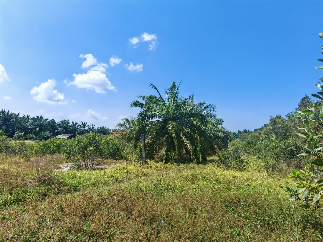 ขายที่ดินเปล่า ทำเลสวย จังหวัดนครศรีธรรมราช