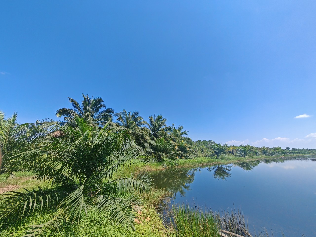 ขายที่ดินเปล่า ทำเลสวย จังหวัดนครศรีธรรมราช