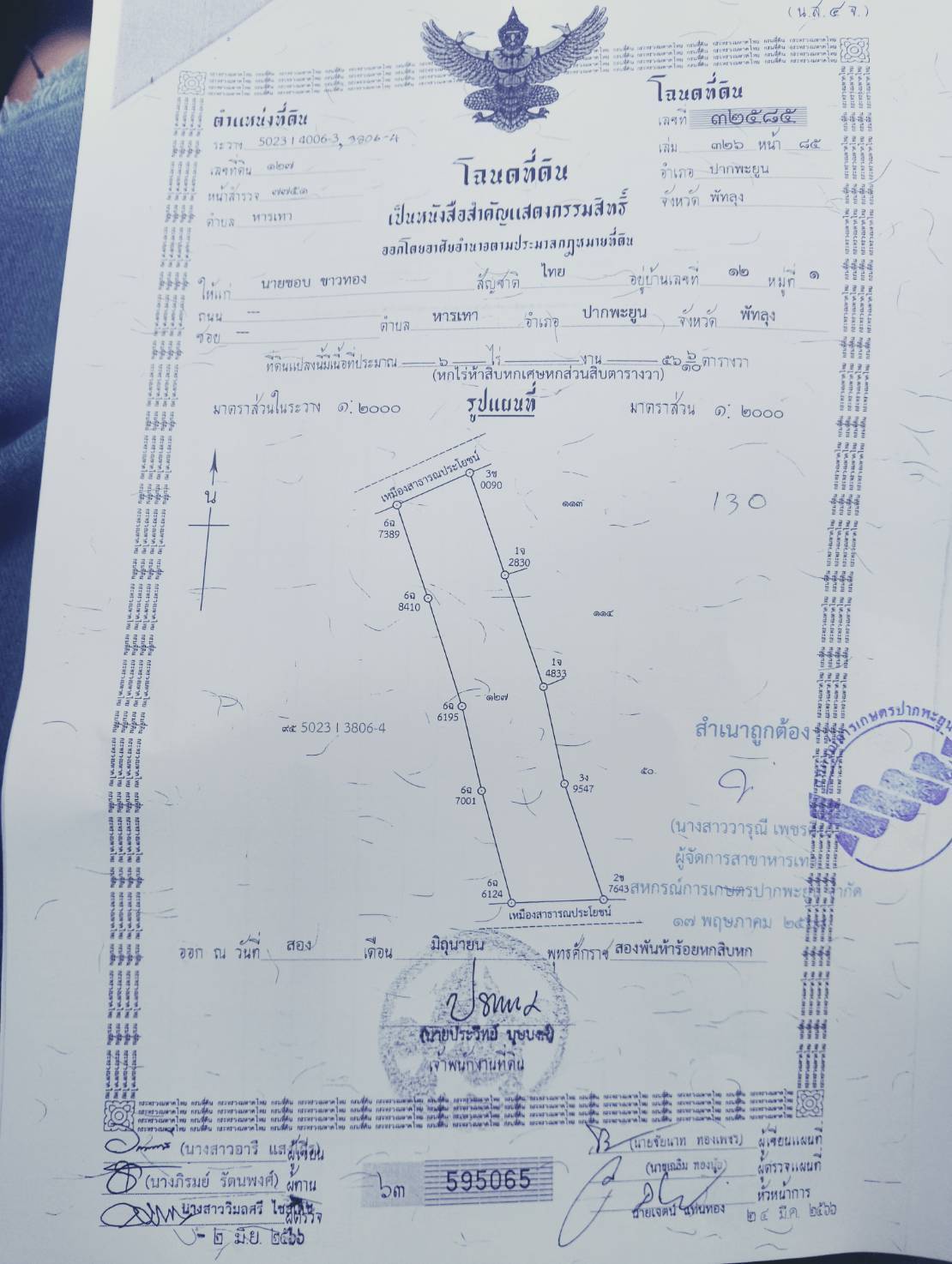 ขายที่ดินทำเลทอง  ต.หารเทา  อ.ปากพะยูน  จ.พัทลุง