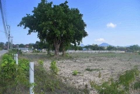 ขายที่สวยทำเลทอง ตำบลสัตหีบห้วยใหญ่ อำเภอบางละมุง จังหวัดชลบุรี 