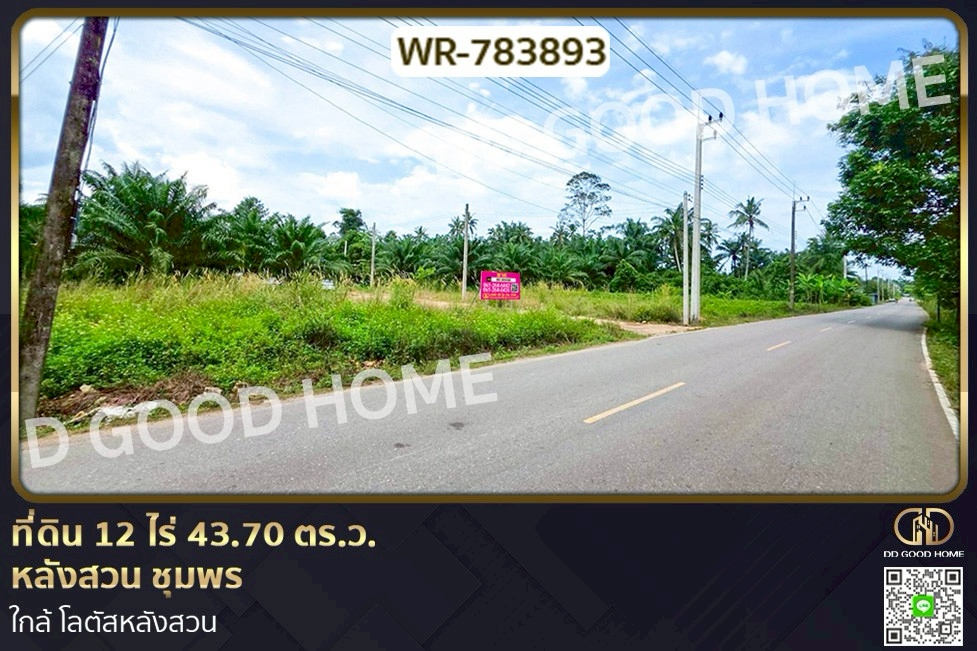 WR-783893 ที่ดิน 12 ไร่ 43.70 ตร.ว. หลังสวน ชุมพร ใกล้ โลตัสหลังสวน