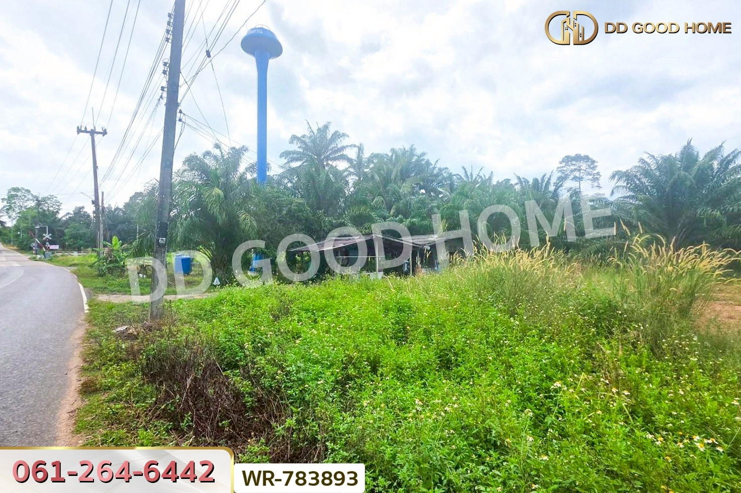 WR-783893 ที่ดิน 12 ไร่ 43.70 ตร.ว. หลังสวน ชุมพร ใกล้ โลตัสหลังสวน