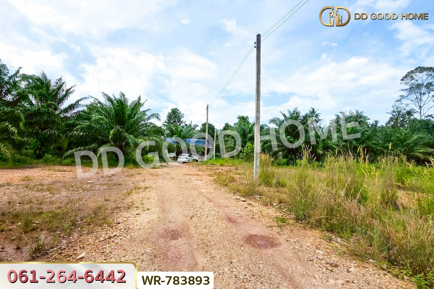 WR-783893 ที่ดิน 12 ไร่ 43.70 ตร.ว. หลังสวน ชุมพร ใกล้ โลตัสหลังสวน