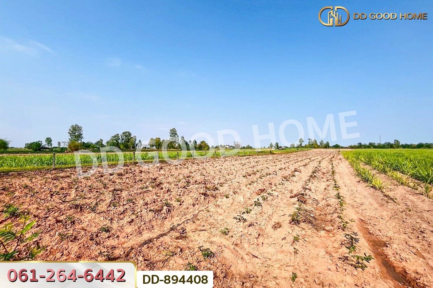 DD-894408 ที่ดินโนนสะอาด 6 ไร่ 187 ตร.ว. อุดรธานี ใกล้ที่ทำการองค์การบริหารส่วนตำบลโคกกลาง
