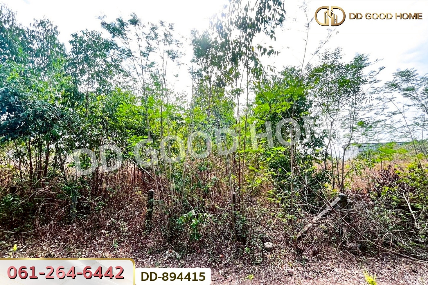 DD-894415 ที่ดินโนนสะอาด 100 ตร.ว. อุดรธานี ใกล้ที่ว่าการอำเภอโนนสะอาด