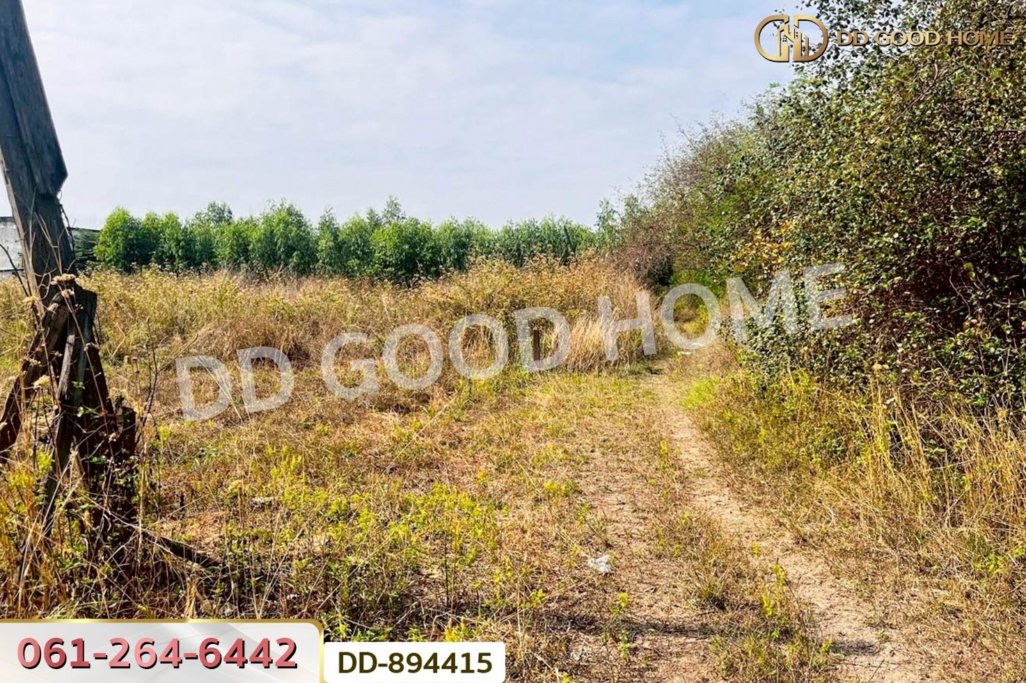 DD-894415 ที่ดินโนนสะอาด 100 ตร.ว. อุดรธานี ใกล้ที่ว่าการอำเภอโนนสะอาด