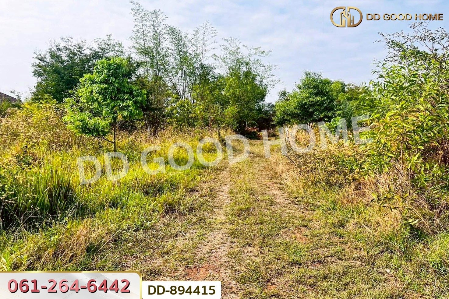 DD-894415 ที่ดินโนนสะอาด 100 ตร.ว. อุดรธานี ใกล้ที่ว่าการอำเภอโนนสะอาด
