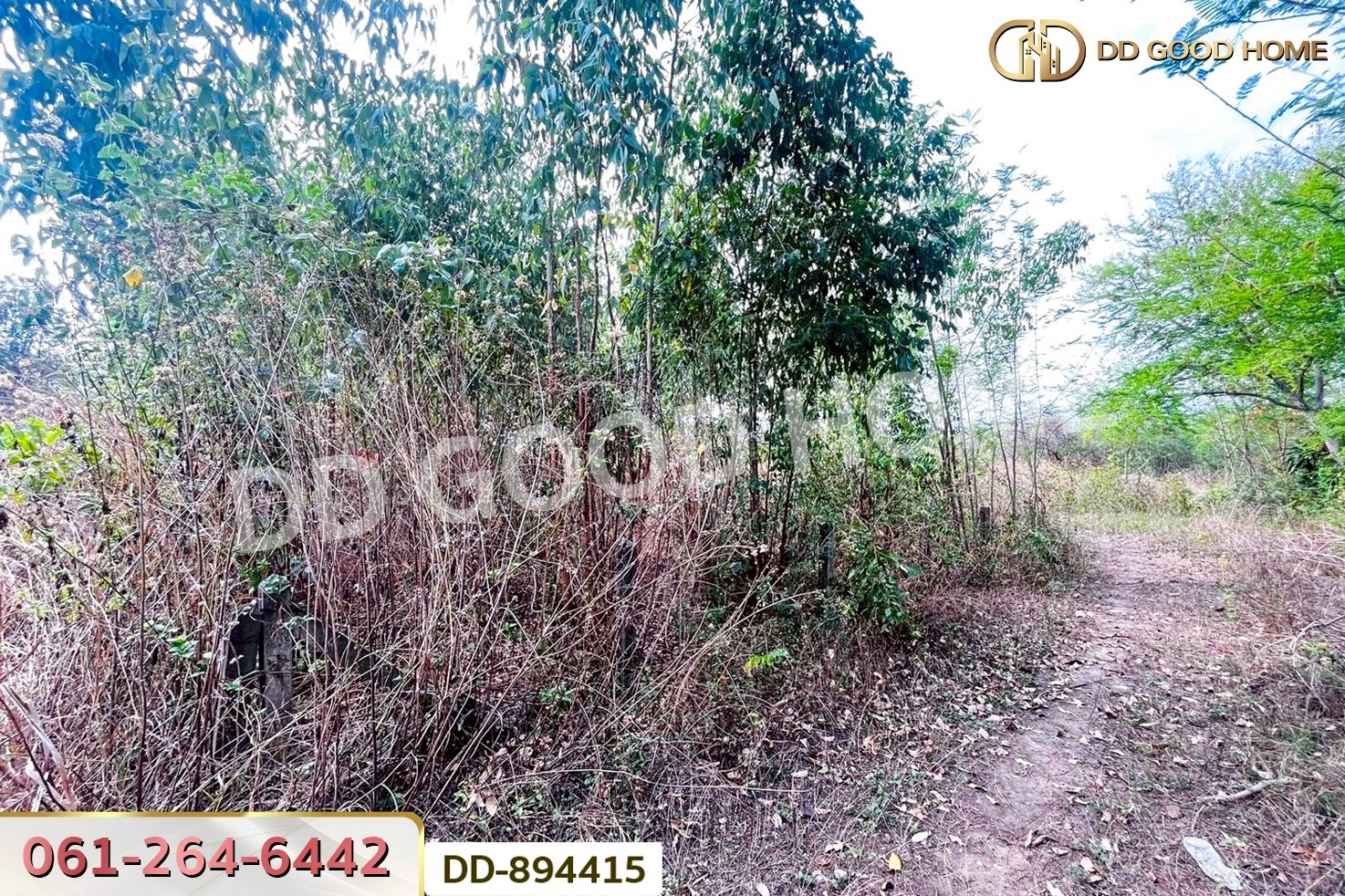 DD-894415 ที่ดินโนนสะอาด 100 ตร.ว. อุดรธานี ใกล้ที่ว่าการอำเภอโนนสะอาด