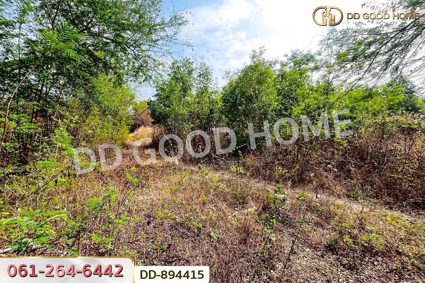 DD-894415 ที่ดินโนนสะอาด 100 ตร.ว. อุดรธานี ใกล้ที่ว่าการอำเภอโนนสะอาด