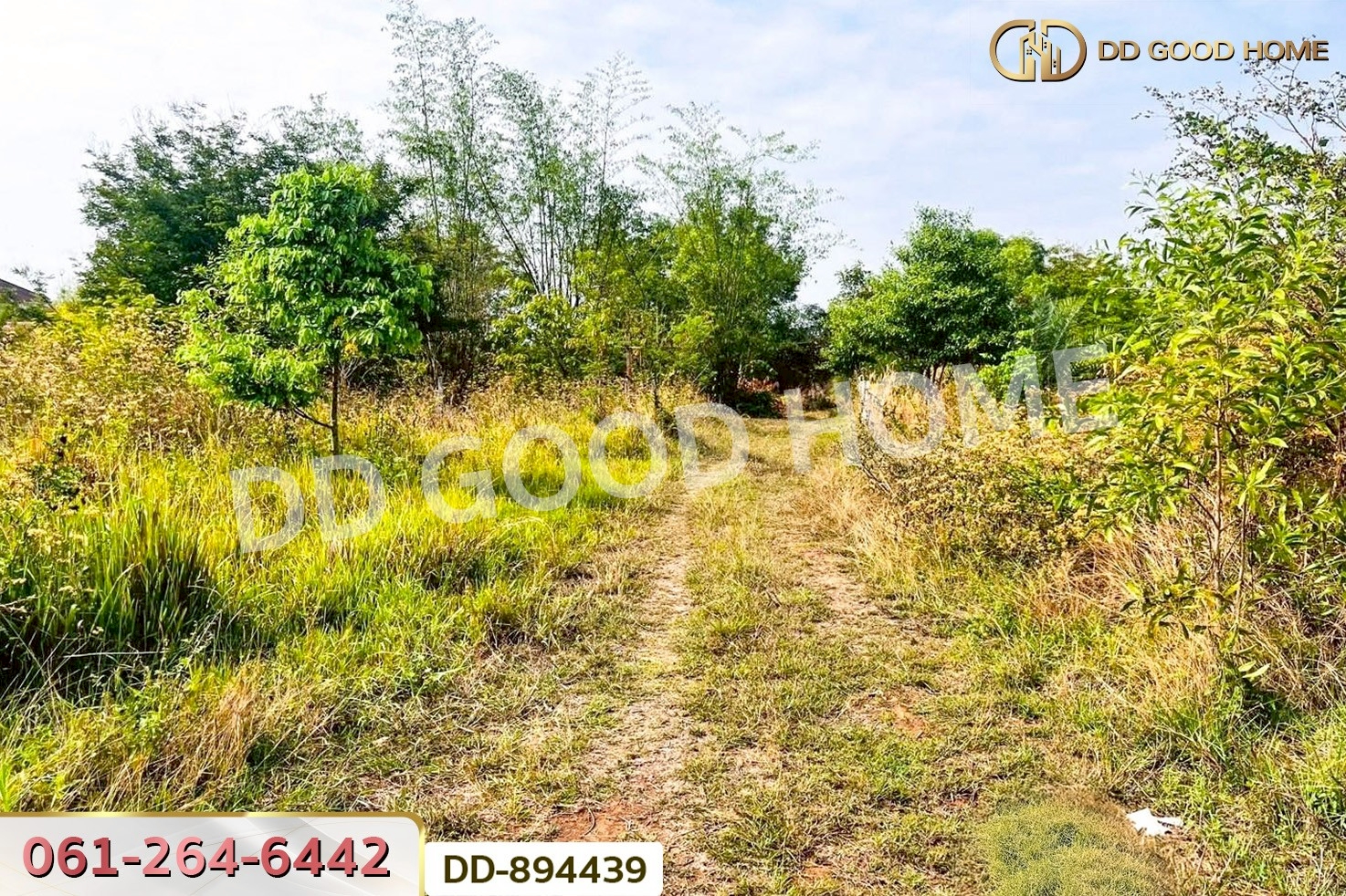 DD-894439 ที่ดินโนนสะอาด 100 ตร.ว. อุดรธานี ใกล้ที่ว่าการอำเภอโนนสะอาด