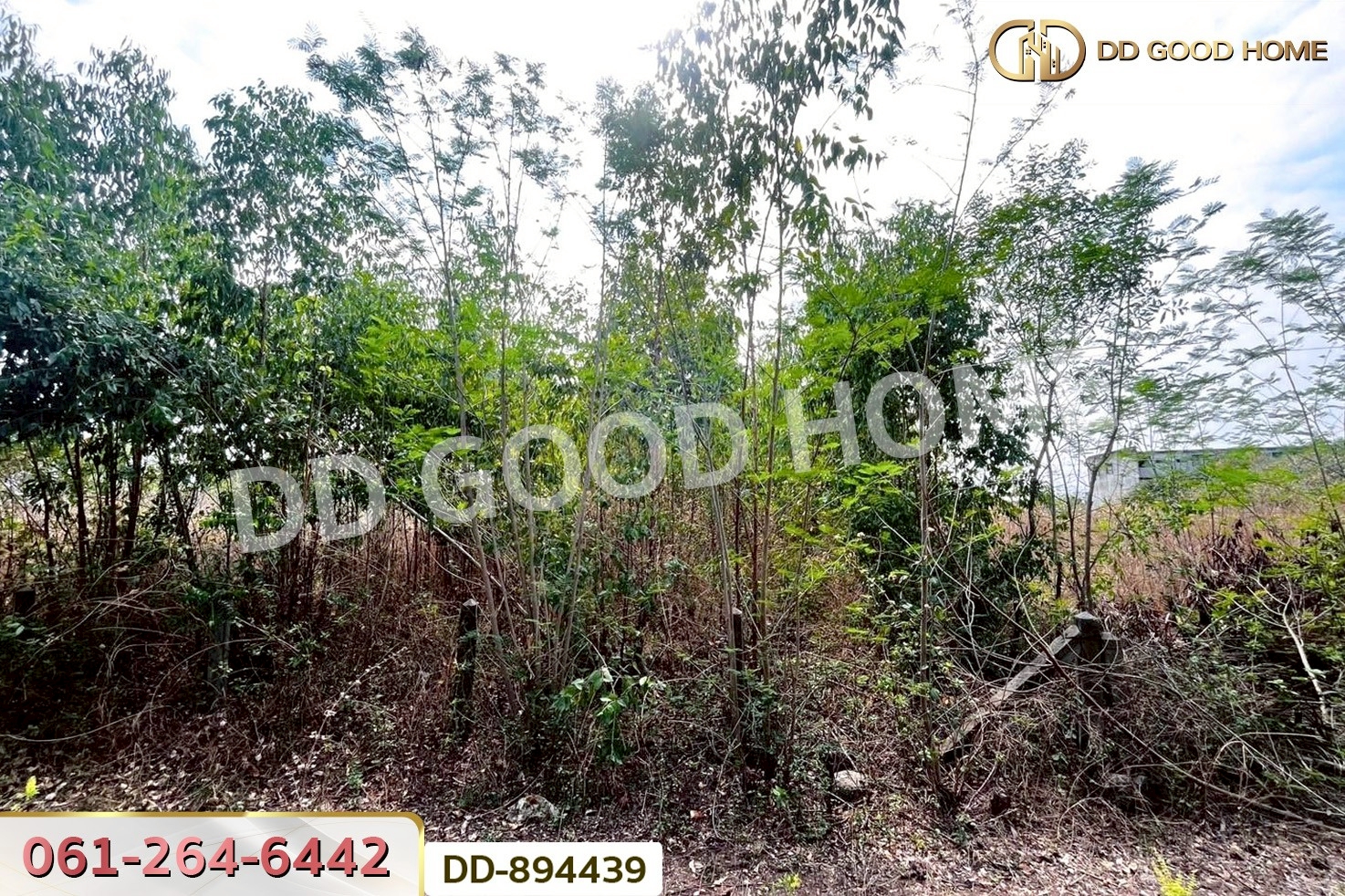 DD-894439 ที่ดินโนนสะอาด 100 ตร.ว. อุดรธานี ใกล้ที่ว่าการอำเภอโนนสะอาด