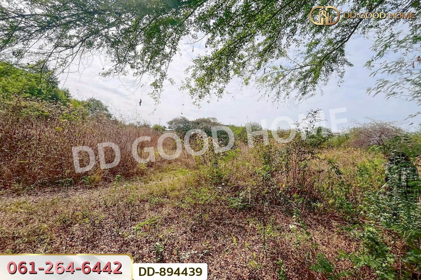 DD-894439 ที่ดินโนนสะอาด 100 ตร.ว. อุดรธานี ใกล้ที่ว่าการอำเภอโนนสะอาด