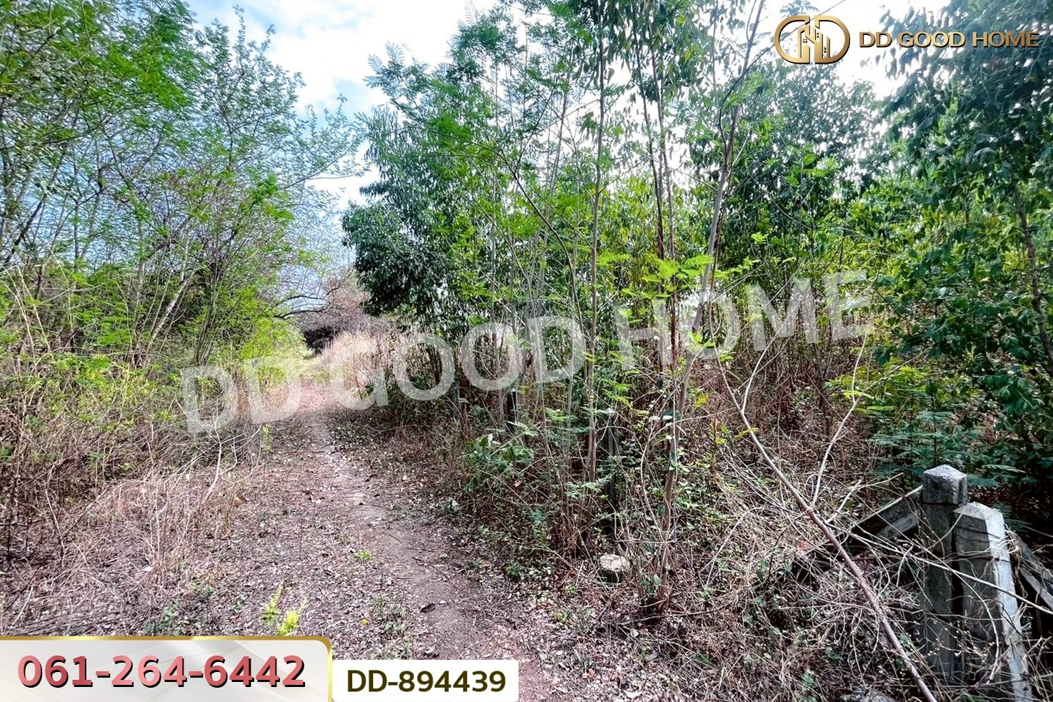 DD-894439 ที่ดินโนนสะอาด 100 ตร.ว. อุดรธานี ใกล้ที่ว่าการอำเภอโนนสะอาด