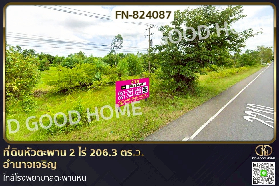 FN-824087 ที่ดินหัวตะพาน 2 ไร่ 206.3 ตร.ว. อำนาจเจริญ ใกล้โรงพยาบาลตะพานหิน