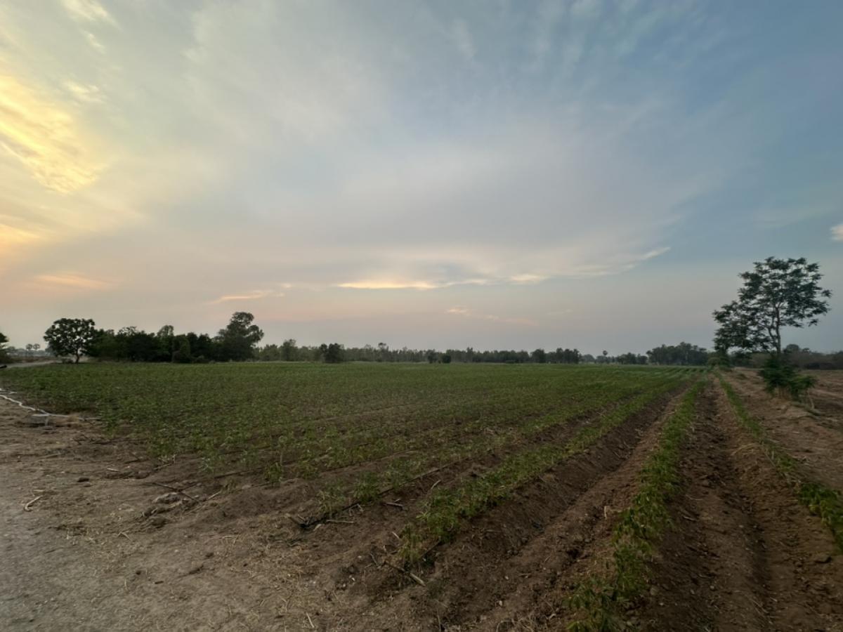 ขายที่ดินแปลงสวยทำเลทองติดถนนราคาไม่แพง ต.หนองโพ อ.ตาคลี จ.นครสวรรค์ 