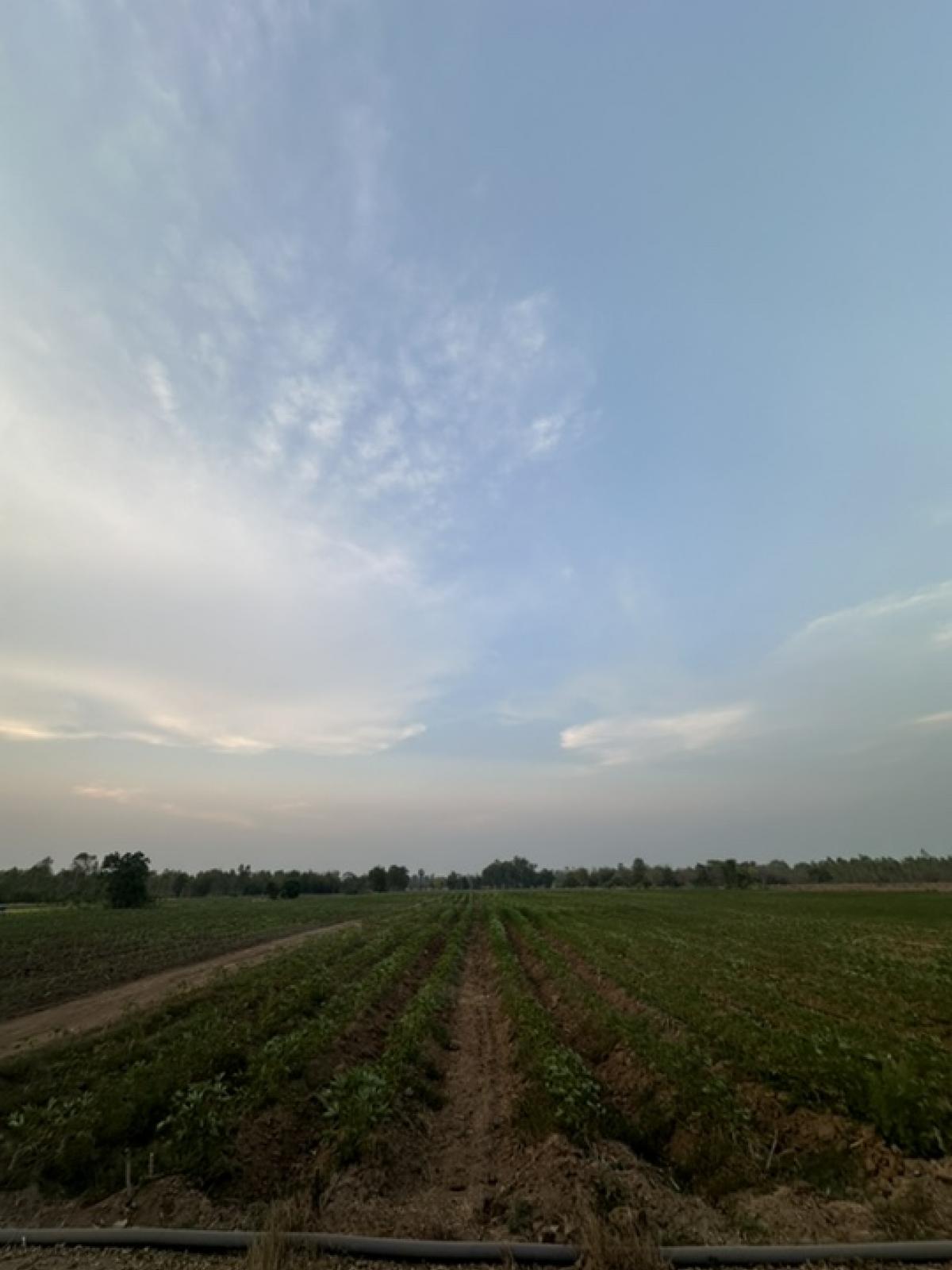 ขายที่ดินแปลงสวยทำเลทองติดถนนราคาไม่แพง ต.หนองโพ อ.ตาคลี จ.นครสวรรค์ 