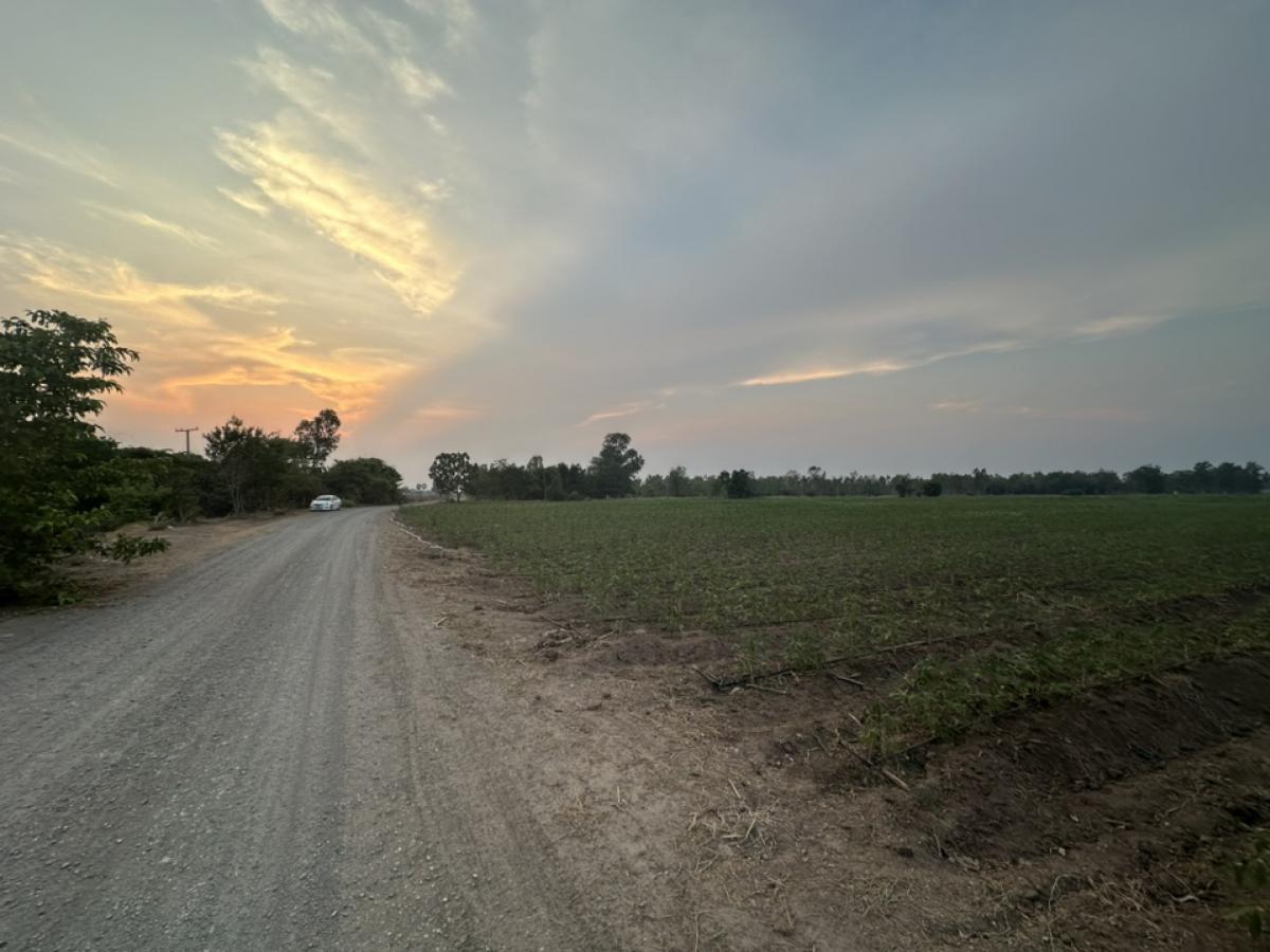 ขายที่ดินแปลงสวยทำเลทองติดถนนราคาไม่แพง ต.หนองโพ อ.ตาคลี จ.นครสวรรค์ 