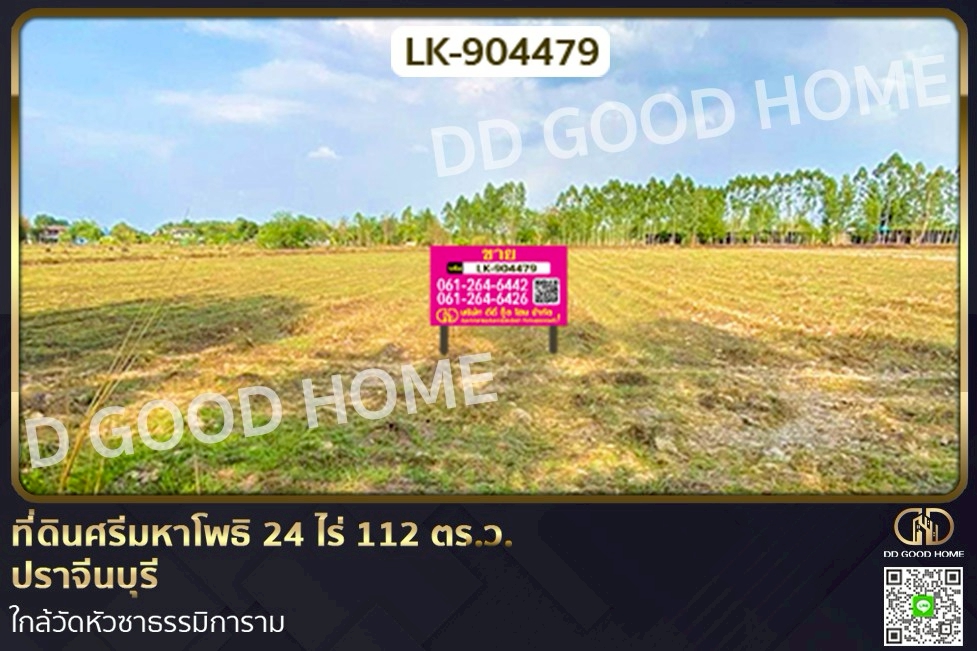  NI-904479 ที่ดินศรีมหาโพธิ 24 ไร่ 112 ตร.ว. ปราจีนบุรี ใกล้วัดหัวซาธรรมิการาม