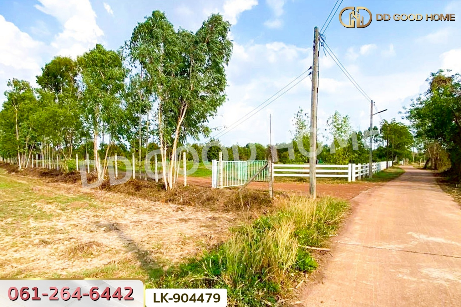  NI-904479 ที่ดินศรีมหาโพธิ 24 ไร่ 112 ตร.ว. ปราจีนบุรี ใกล้วัดหัวซาธรรมิการาม