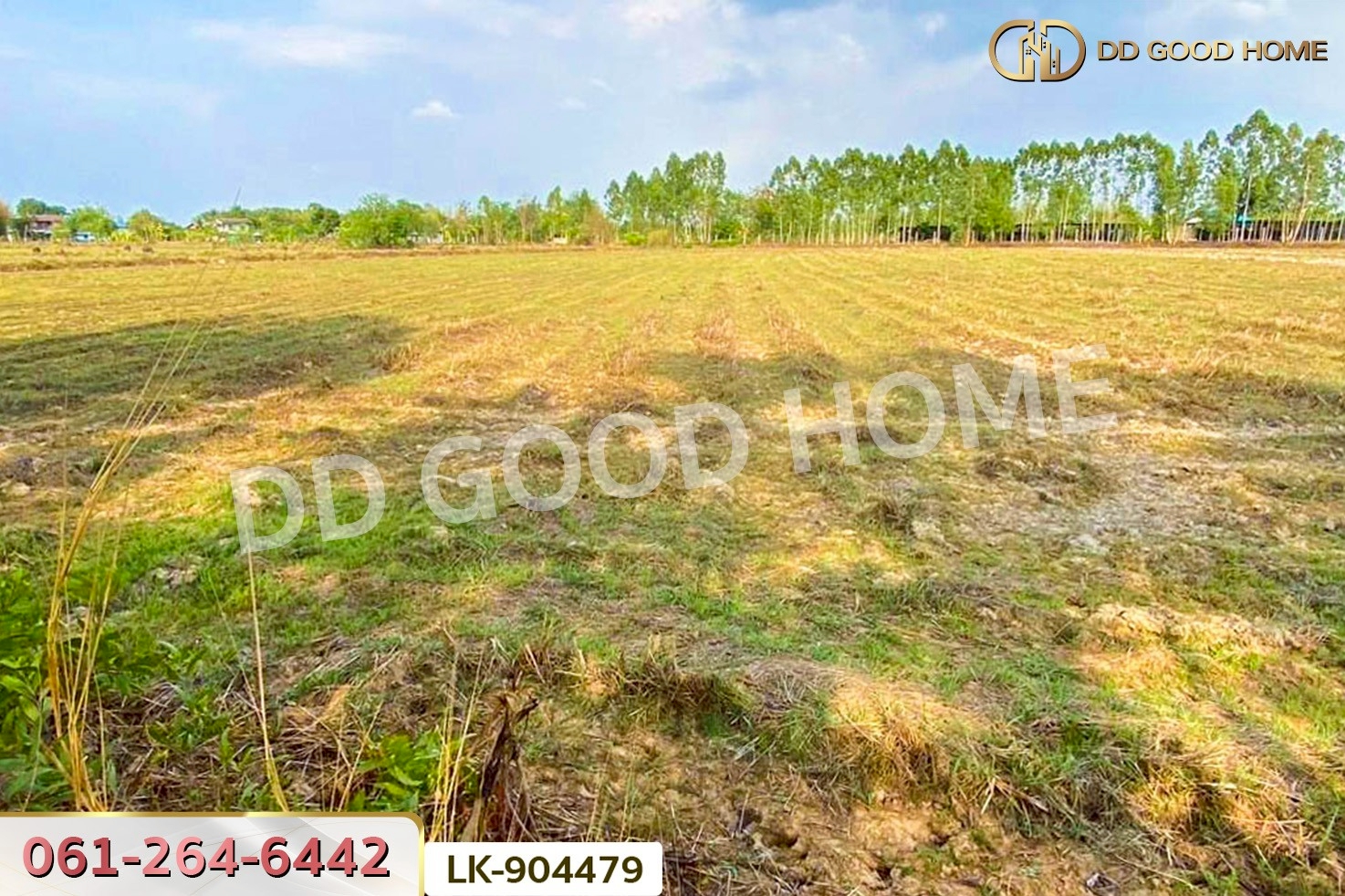  NI-904479 ที่ดินศรีมหาโพธิ 24 ไร่ 112 ตร.ว. ปราจีนบุรี ใกล้วัดหัวซาธรรมิการาม