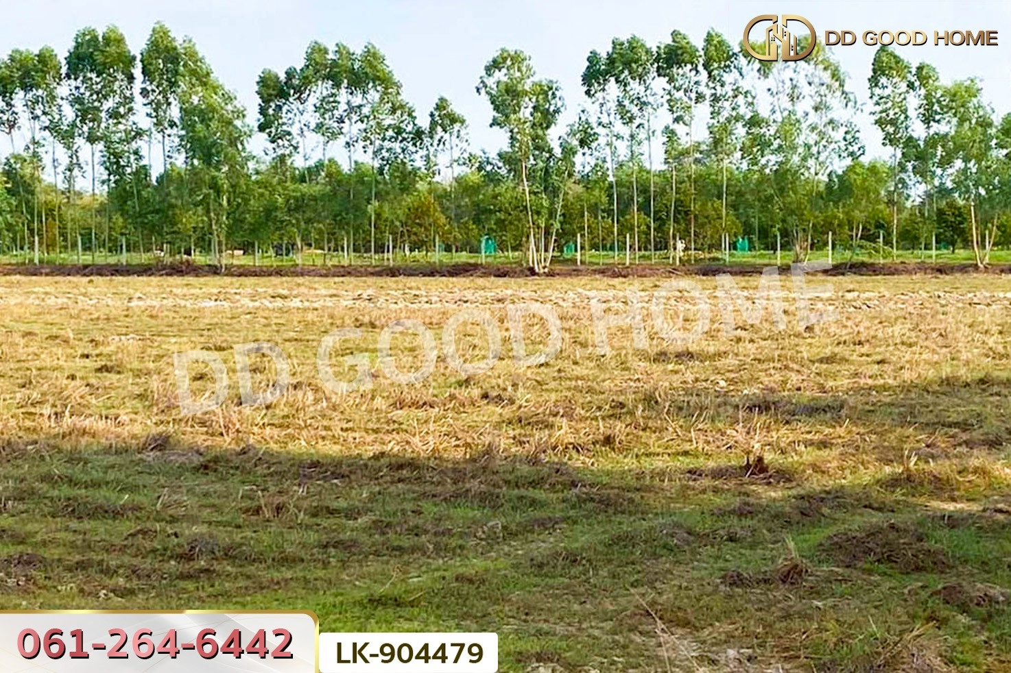  NI-904479 ที่ดินศรีมหาโพธิ 24 ไร่ 112 ตร.ว. ปราจีนบุรี ใกล้วัดหัวซาธรรมิการาม