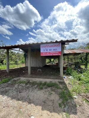 ขายที่ดินสวนลำไยวิวเขา 5 ไร่ 50 ตรว. อำเภอแม่วาง จังหวัดเชียงใหม่