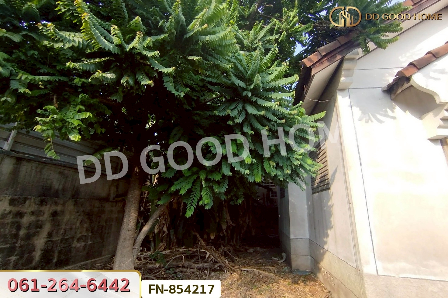 FN-854217 บ้านเดี่ยว หมู่บ้านพรธิสาร 4 คลอง 6 ปทุมธานี ใกล้ดูโฮมรังสิต