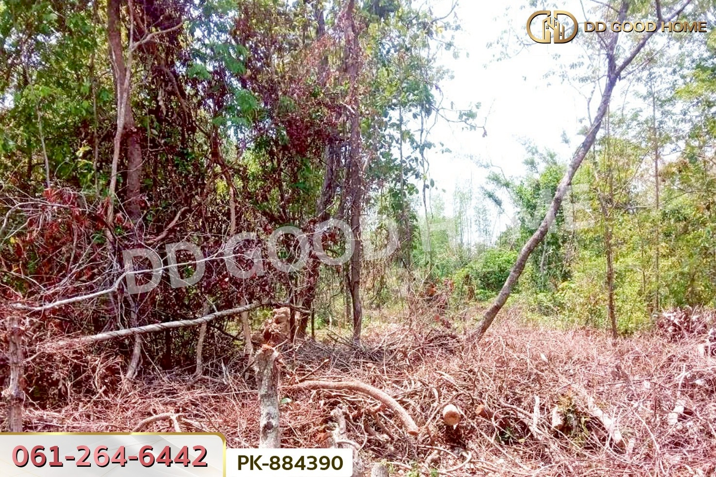 PK-884390 ที่ดินเสนางคนิคม 5 ไร่ 199.2 ตร.ว. อำนาจเจริญ ใกล้วัดนาเวียง