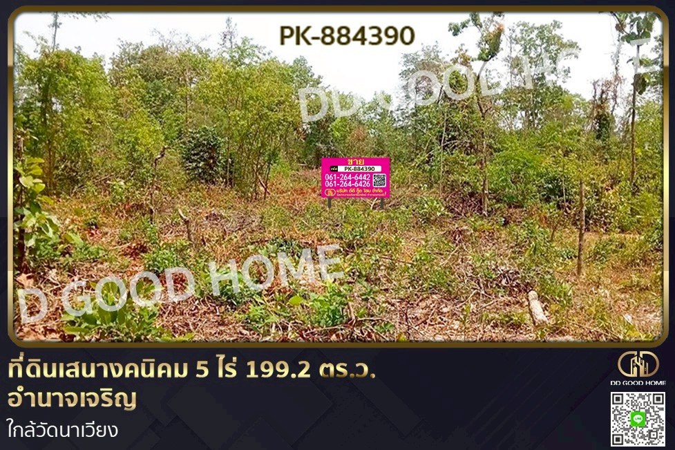 PK-884390 ที่ดินเสนางคนิคม 5 ไร่ 199.2 ตร.ว. อำนาจเจริญ ใกล้วัดนาเวียง