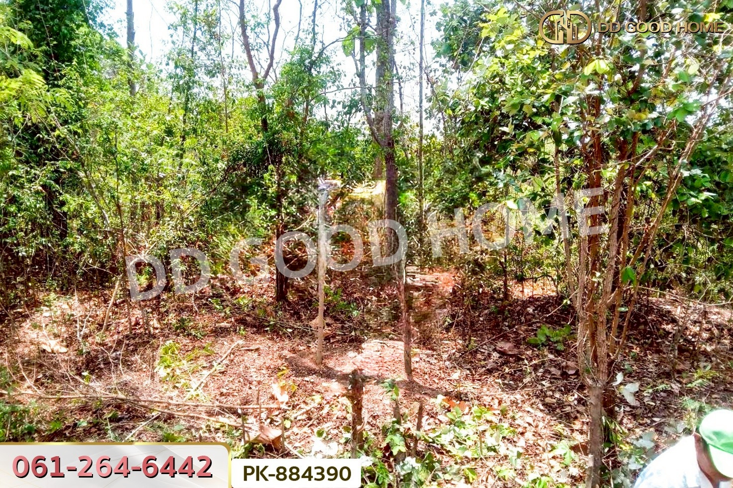 PK-884390 ที่ดินเสนางคนิคม 5 ไร่ 199.2 ตร.ว. อำนาจเจริญ ใกล้วัดนาเวียง