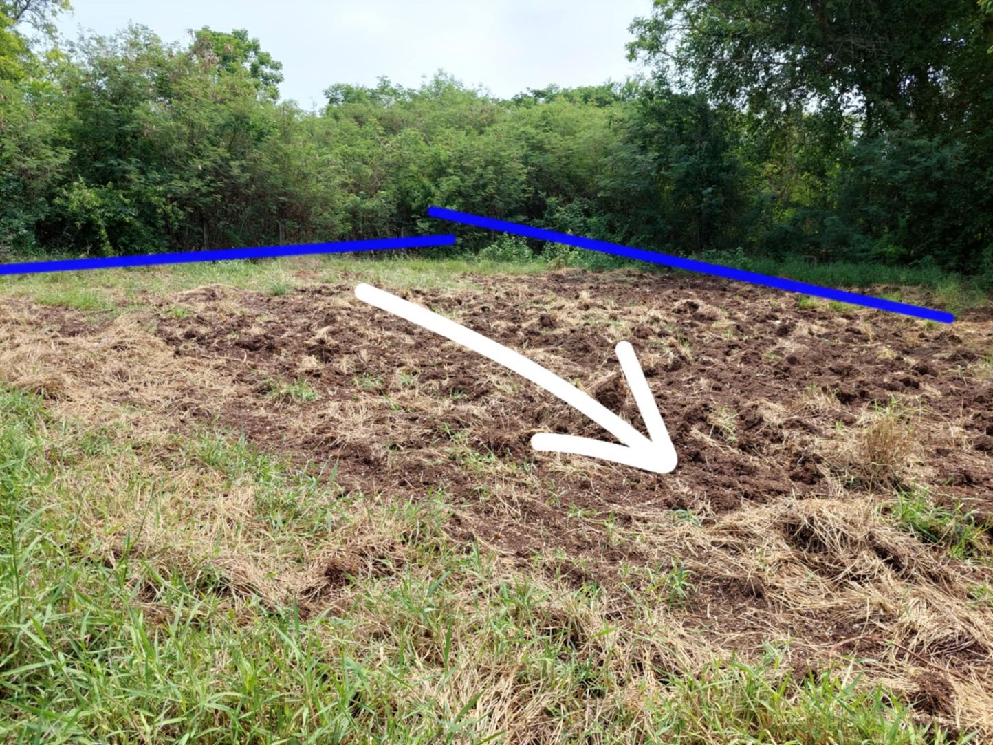 ขายด่วนที่ดินเปล่า ทำเลทอง  อำเภอโชคชัย จังหวัดโคราช