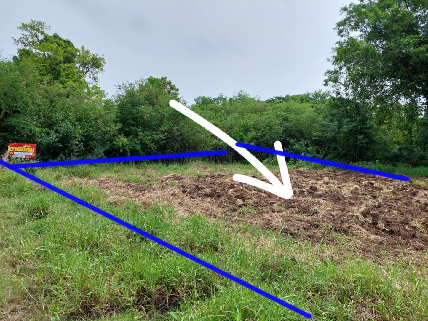 ขายด่วนที่ดินเปล่า ทำเลทอง  อำเภอโชคชัย จังหวัดโคราช