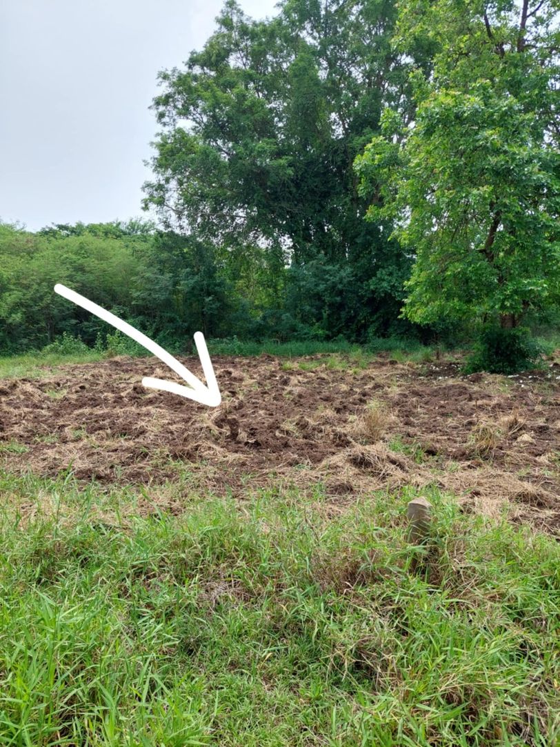 ขายด่วนที่ดินเปล่า ทำเลทอง  อำเภอโชคชัย จังหวัดโคราช