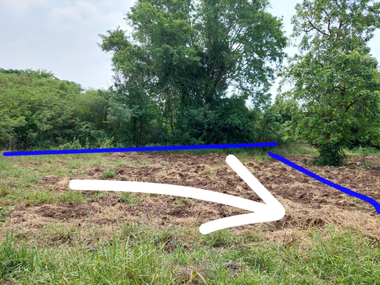 ขายด่วนที่ดินเปล่า ทำเลทอง  อำเภอโชคชัย จังหวัดโคราช