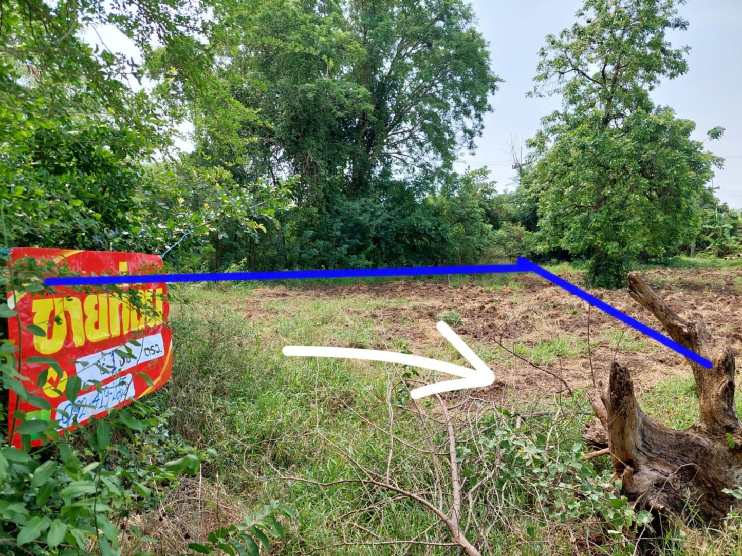 ขายด่วนที่ดินเปล่า ทำเลทอง  อำเภอโชคชัย จังหวัดโคราช