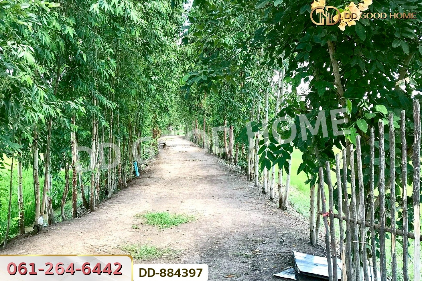 DD-884397 ที่ดินท่าสองคอน 3 ไร่ 100 ตร.ว. มหาสารคาม ใกล้ทะเลบัวแดง