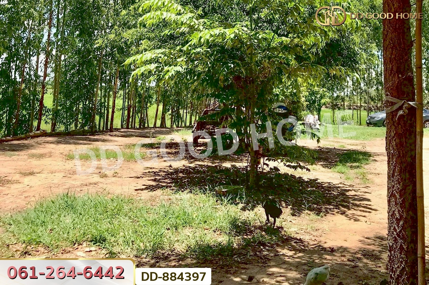 DD-884397 ที่ดินท่าสองคอน 3 ไร่ 100 ตร.ว. มหาสารคาม ใกล้ทะเลบัวแดง