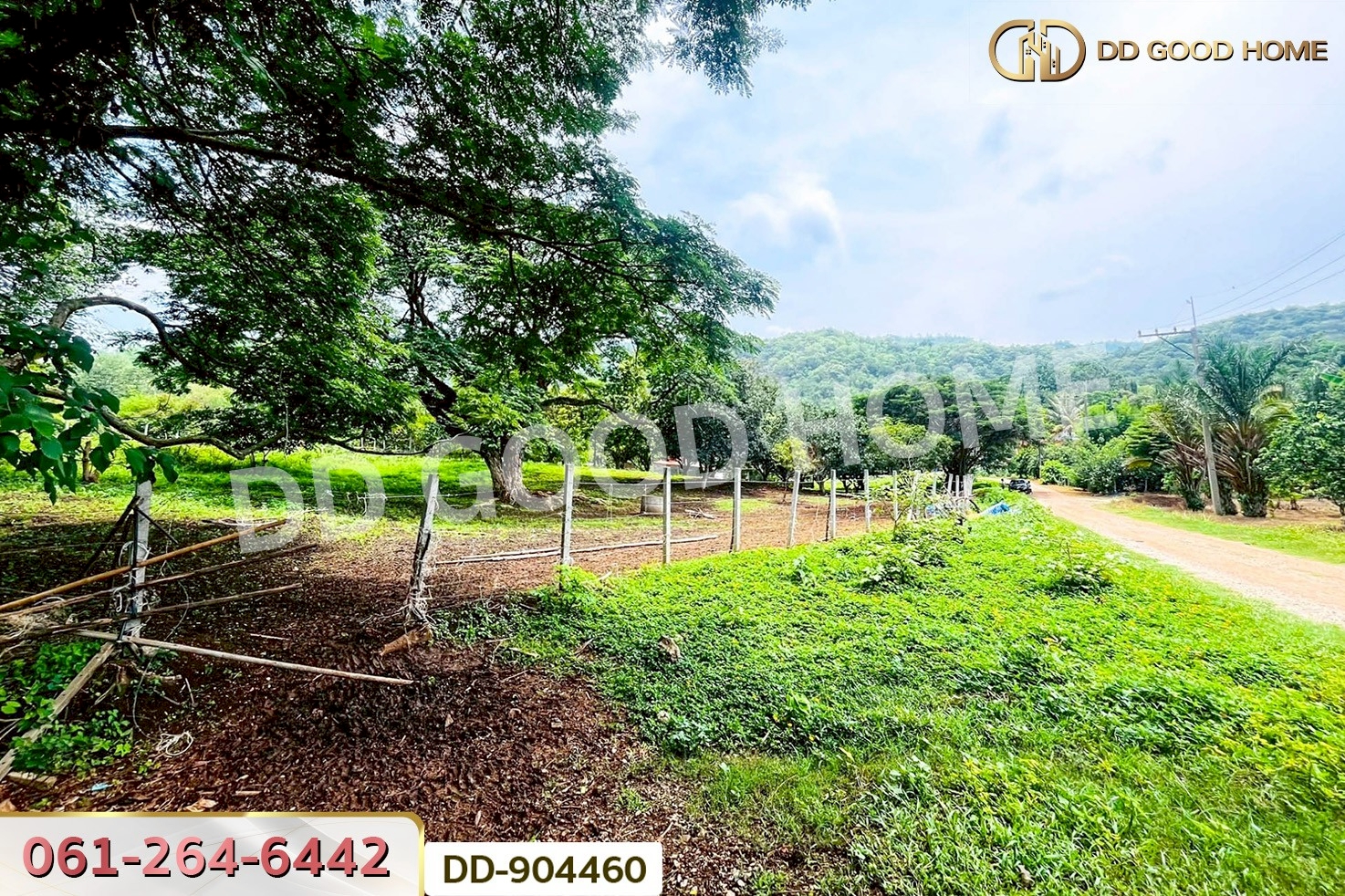 DD-904460 ที่ดินปากช่อง 2 ไร่ 164 ตร.ว. นครราชสีมา ใกล้วัดซับใต้
