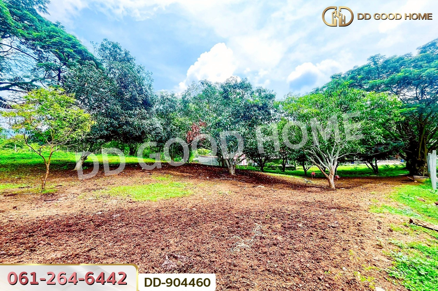 DD-904460 ที่ดินปากช่อง 2 ไร่ 164 ตร.ว. นครราชสีมา ใกล้วัดซับใต้