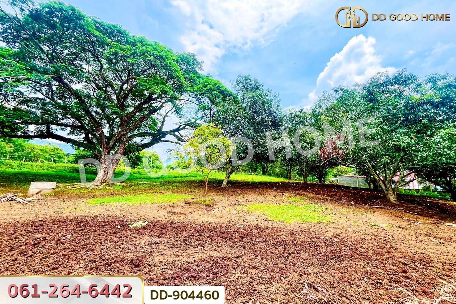 DD-904460 ที่ดินปากช่อง 2 ไร่ 164 ตร.ว. นครราชสีมา ใกล้วัดซับใต้