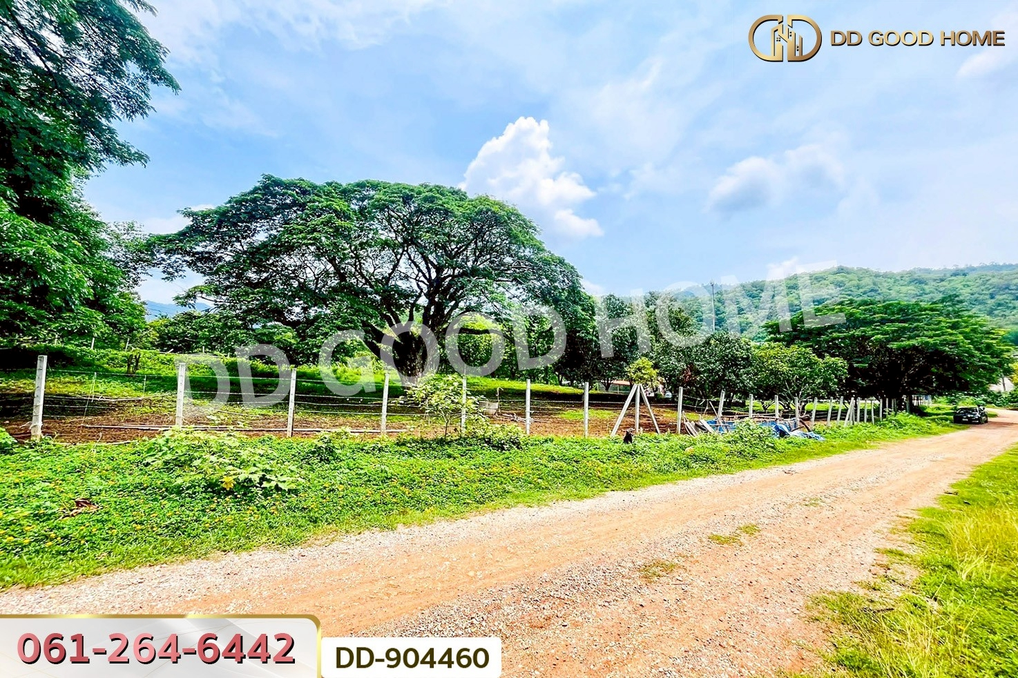 DD-904460 ที่ดินปากช่อง 2 ไร่ 164 ตร.ว. นครราชสีมา ใกล้วัดซับใต้
