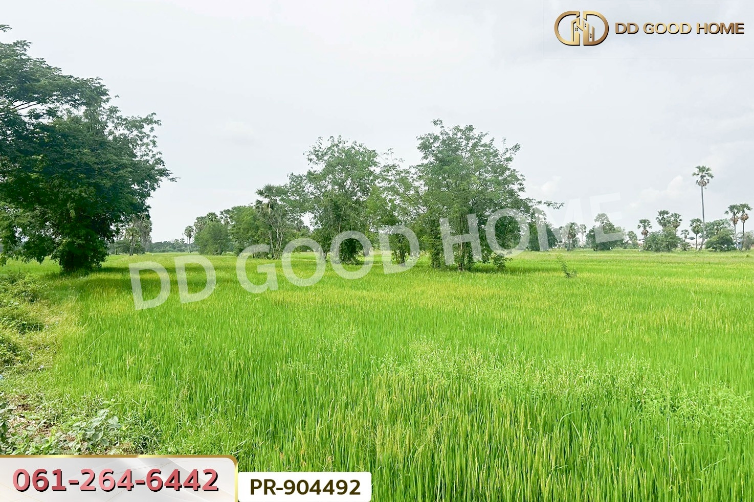 WR-904492 ที่ดินนาวุ้ง 8 ไร่ 114 ตร.ว. เพชรบุรี ใกล้มหาวิทยาลัยราชภัฏเพชรบุรี