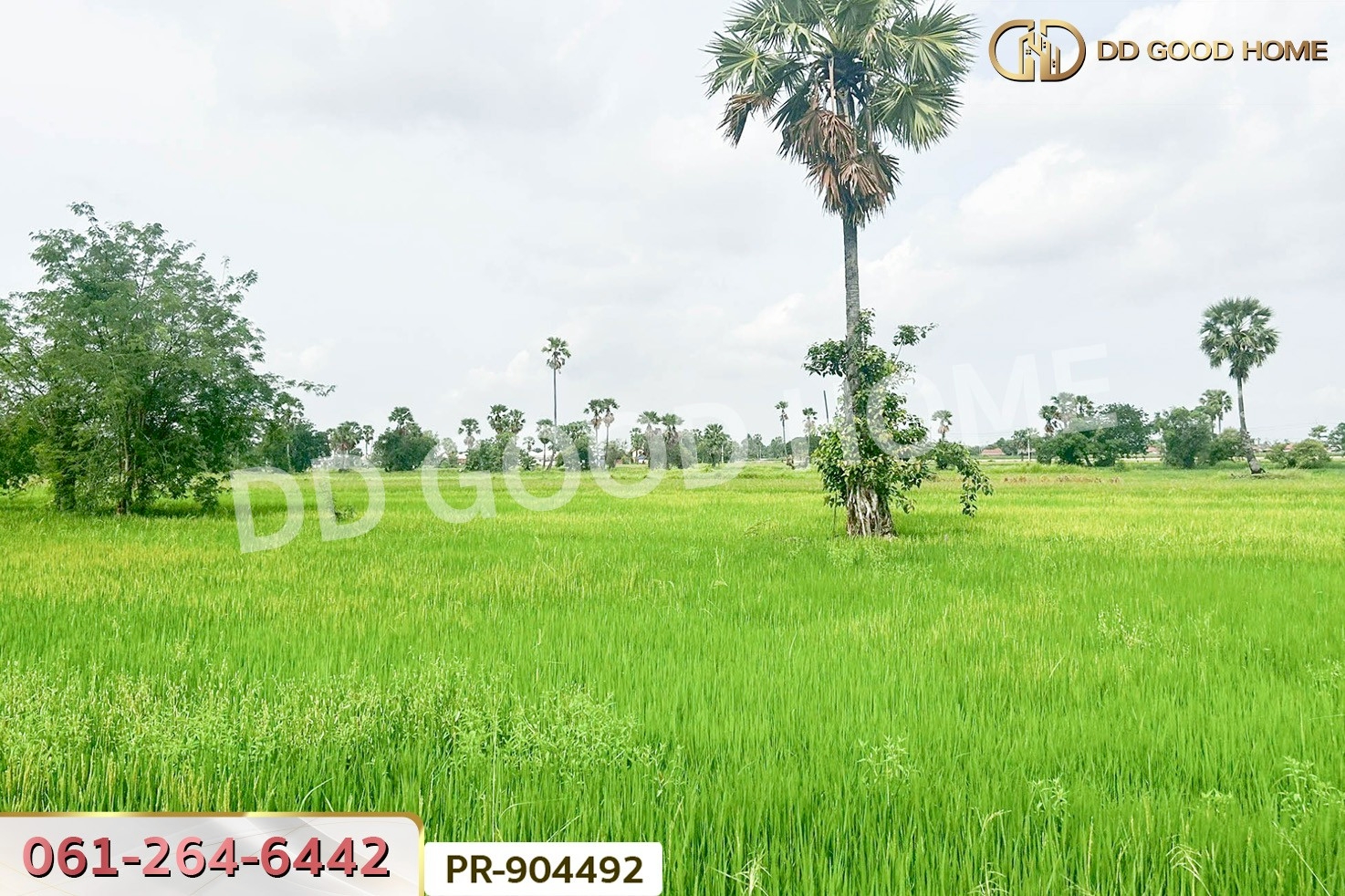 WR-904492 ที่ดินนาวุ้ง 8 ไร่ 114 ตร.ว. เพชรบุรี ใกล้มหาวิทยาลัยราชภัฏเพชรบุรี