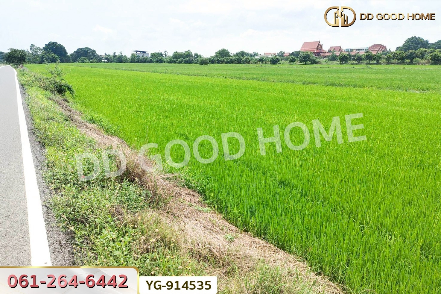 GF-914535 ที่ดินไทรน้อย 200 ตร.ว. นนทบุรี ใกล้วัดปลายคลองขุนศรี