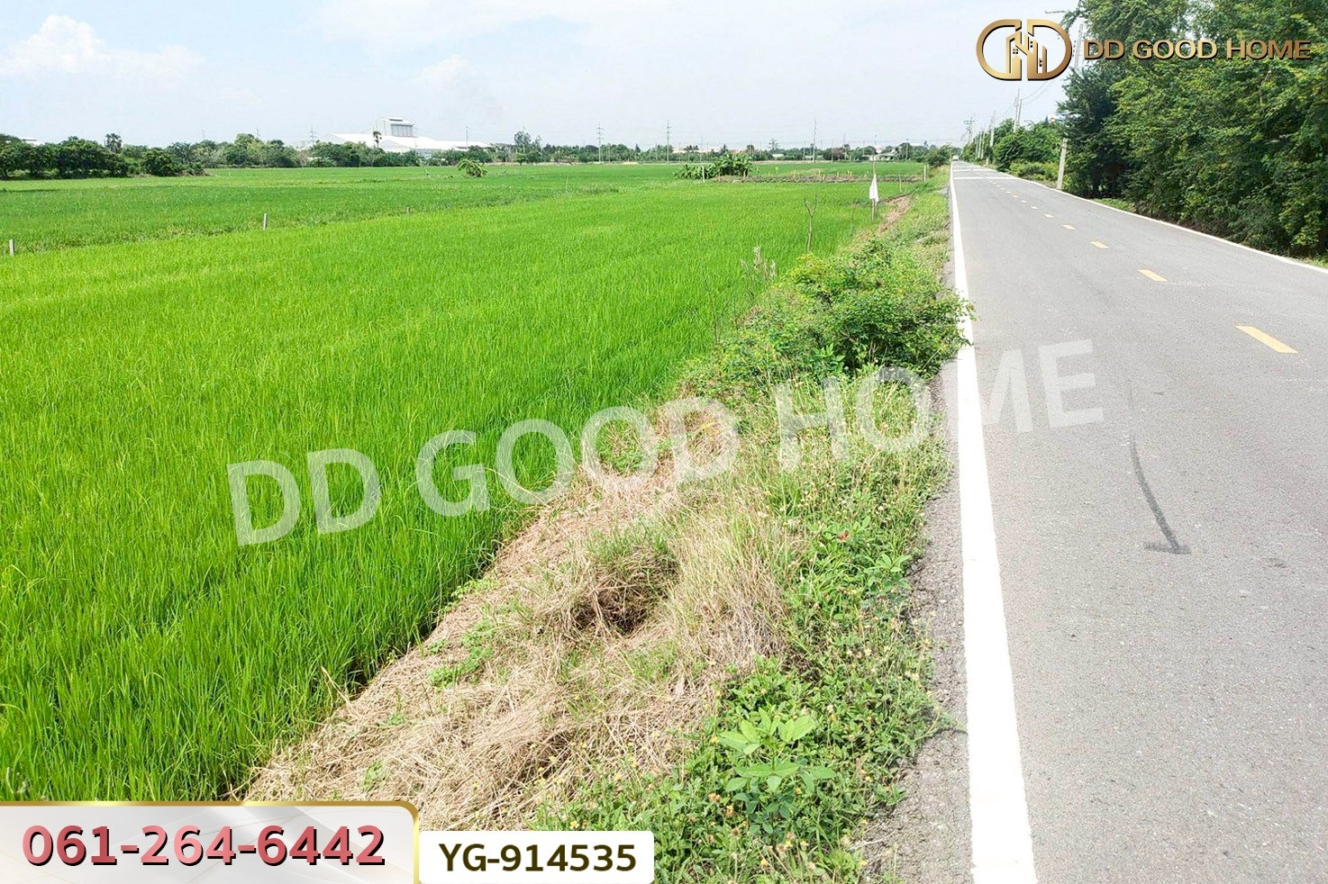 GF-914535 ที่ดินไทรน้อย 200 ตร.ว. นนทบุรี ใกล้วัดปลายคลองขุนศรี